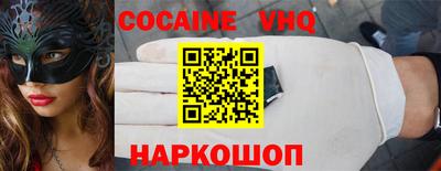 сатива Новозыбков