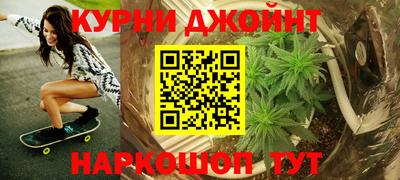 сатива Новозыбков