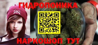 сатива Новозыбков