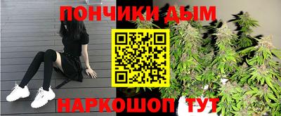 гашиш Новодвинск