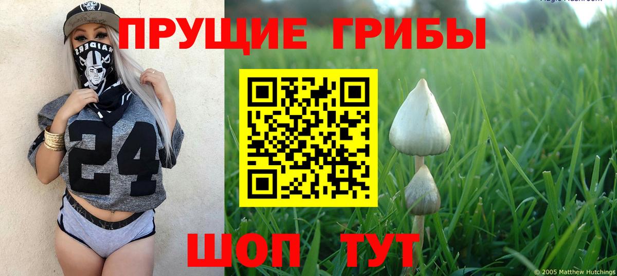 Пушкино  Галлюциногенные грибы Psilocybine cubensis  Вход с VPN 